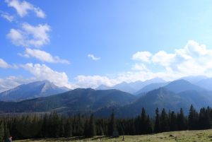 Fotoaktywni 60